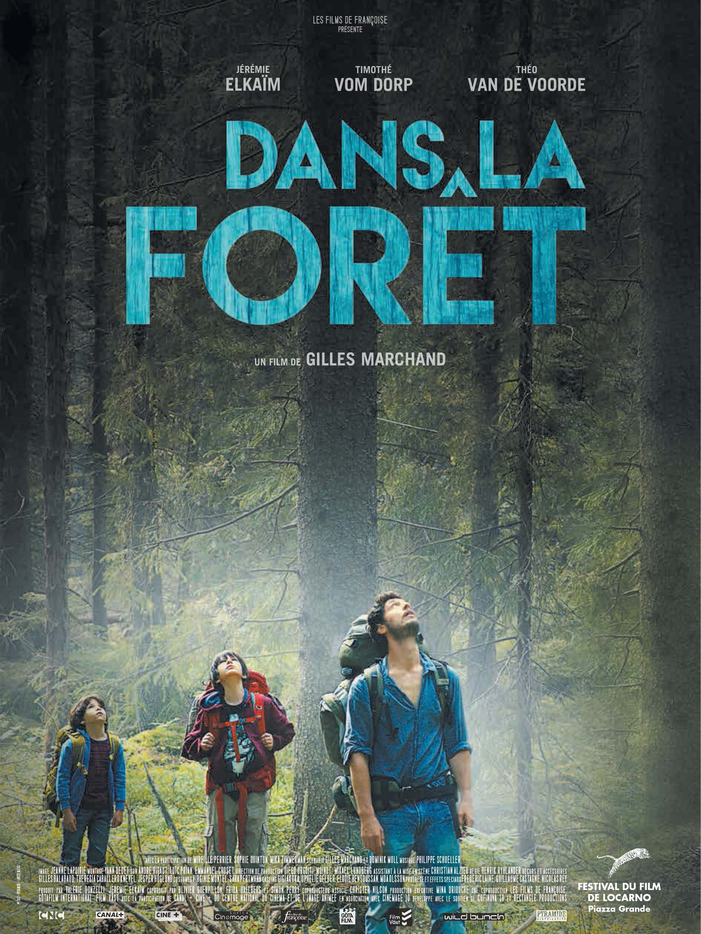 Dans la forêt | Marchand, Gilles (Réalisateur)