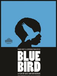 Blue Bird | Van den Berghe, Gust (Réalisateur)