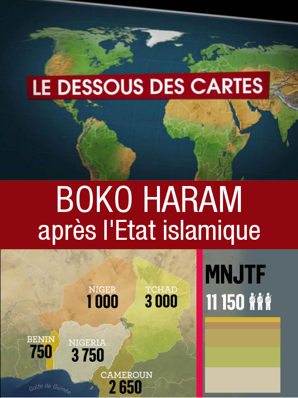 Dessous des cartes - Boko Haram après l'Etat islamique