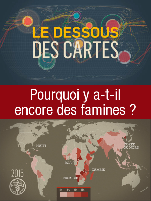 Le Dessous des cartes - Pourquoi y a-t-il encore des famines ? | Lernoud, Frédéric (Réalisateur)