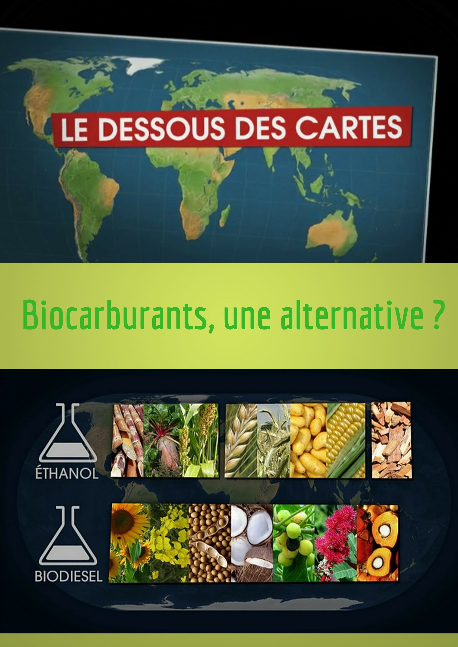 Le Dessous des cartes - Biocarburants, une alternative ? | Jomier, Alain (Réalisateur)
