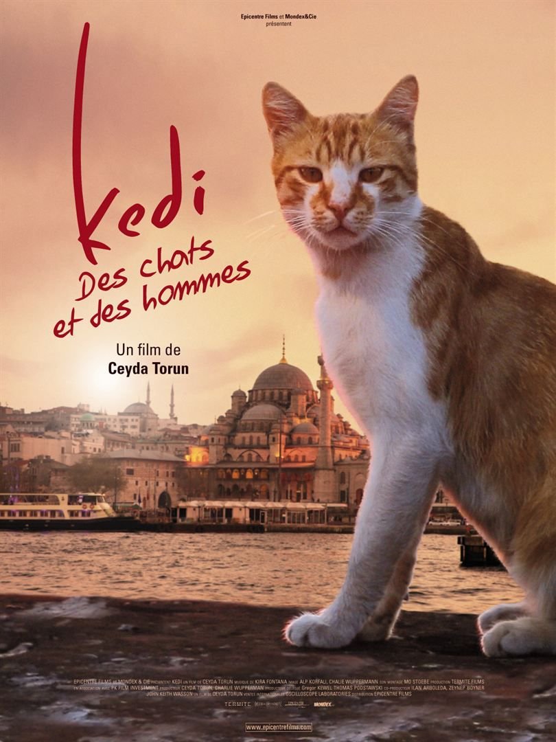 Kedi, des chats et des hommes | Torun, Ceyda (Réalisateur)