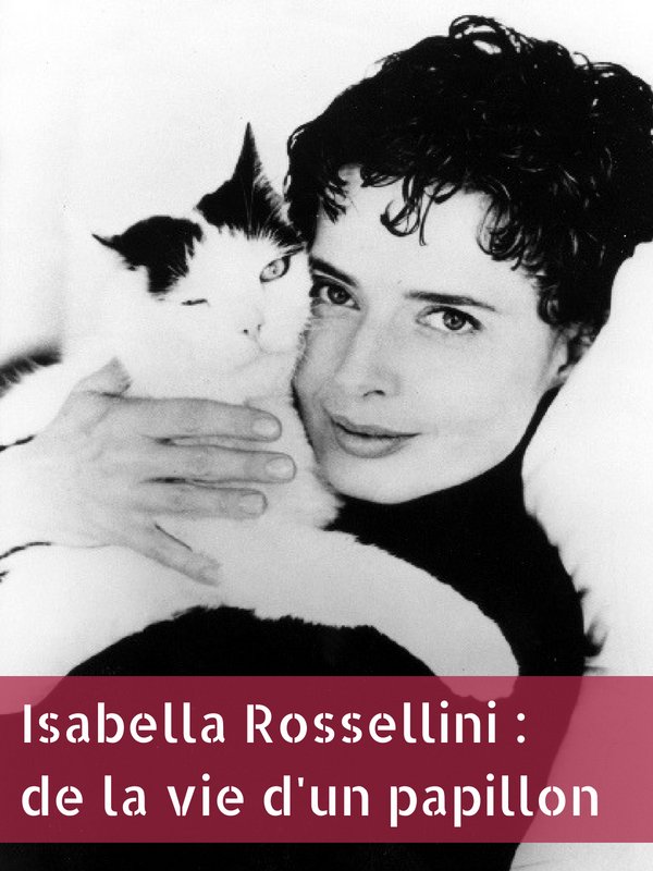 Isabella Rossellini : de la vie d'un papillon | Von Boehm, Gero (Réalisateur)