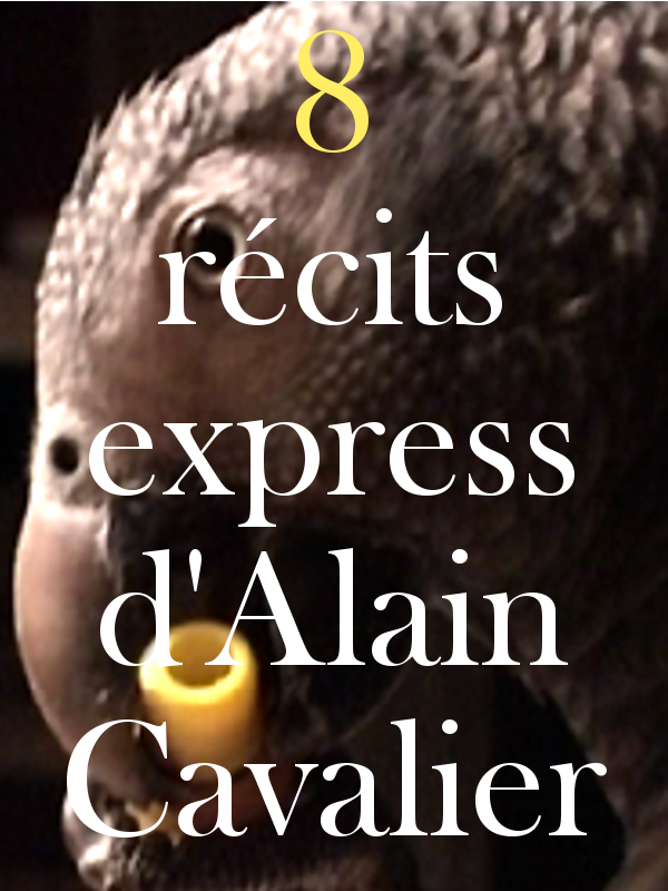 8 récits express d'Alain Cavalier | Cavalier, Alain (Réalisateur)