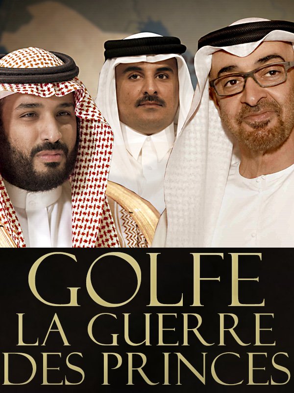 Golfe, la guerre des Princes | Lepetit, Sylvain (Réalisateur)