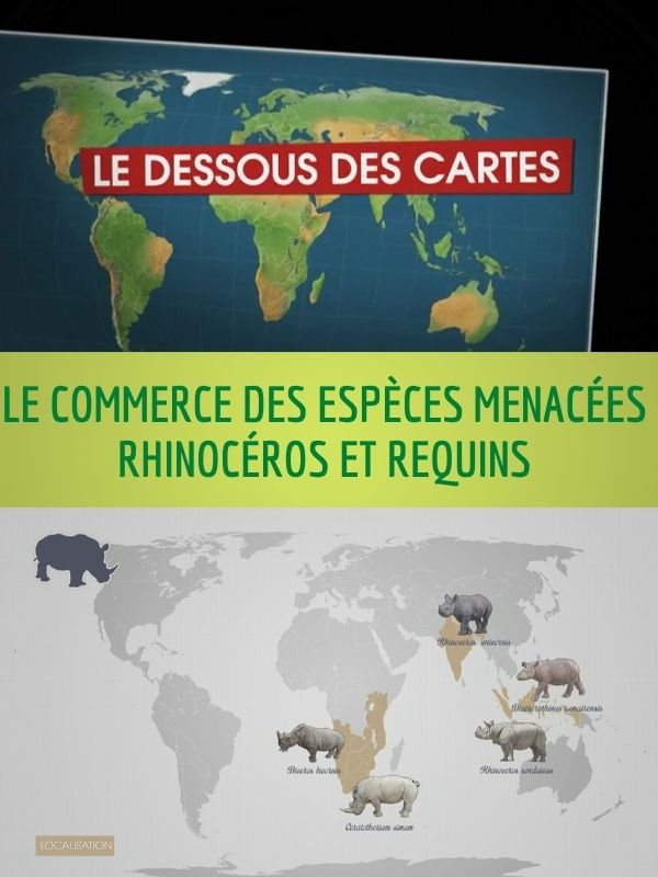 Le Dessous des cartes - Le commerce des espèces menacées : rhinocéros et requins | Ramade, Frédéric (Réalisateur)