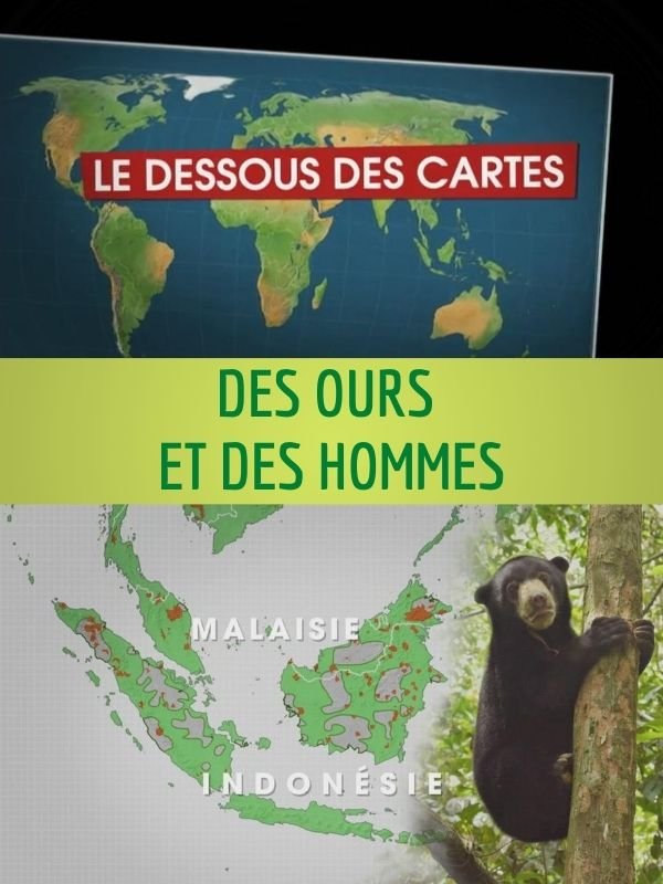Le Dessous des Cartes - Des ours et des hommes | Jomier, Alain (Réalisateur)