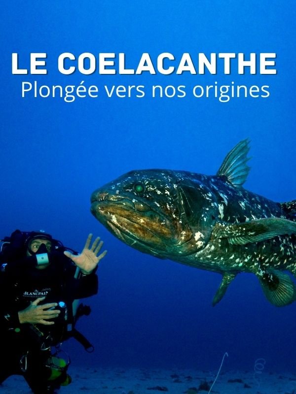 Le Coelacanthe, plongée vers nos origines | Kebaili, Gil (Réalisateur)