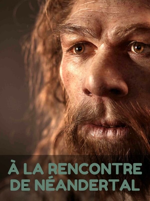 Image de À la rencontre de Néandertal