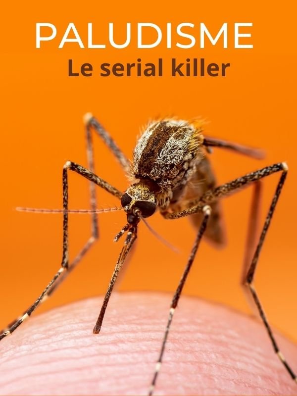 Paludisme, le serial killer | Tixier, Alain (Réalisateur)