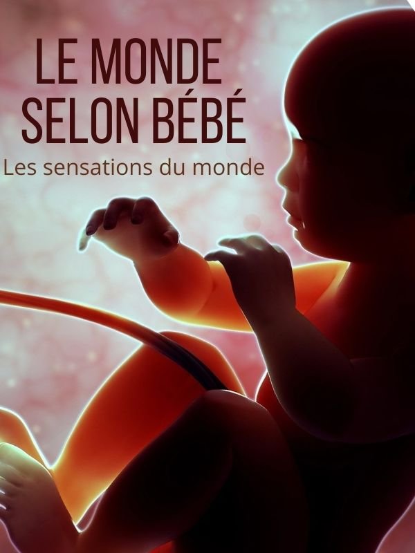 Le monde selon bébé : les sensations du monde | George, Bernard (Réalisateur)