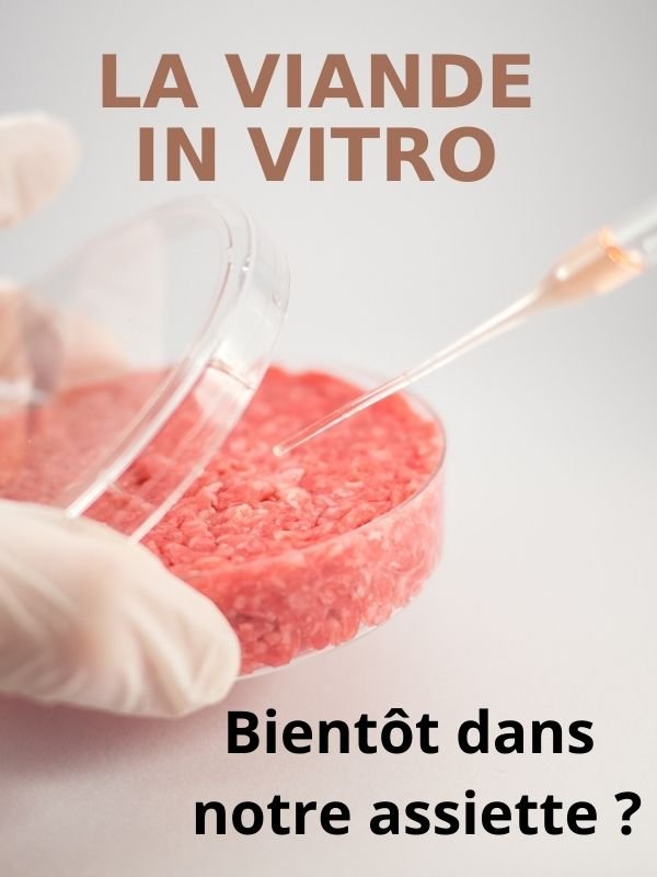 La viande in vitro, bientôt dans notre assiette ? | Veronique Preault,  (Réalisateur)