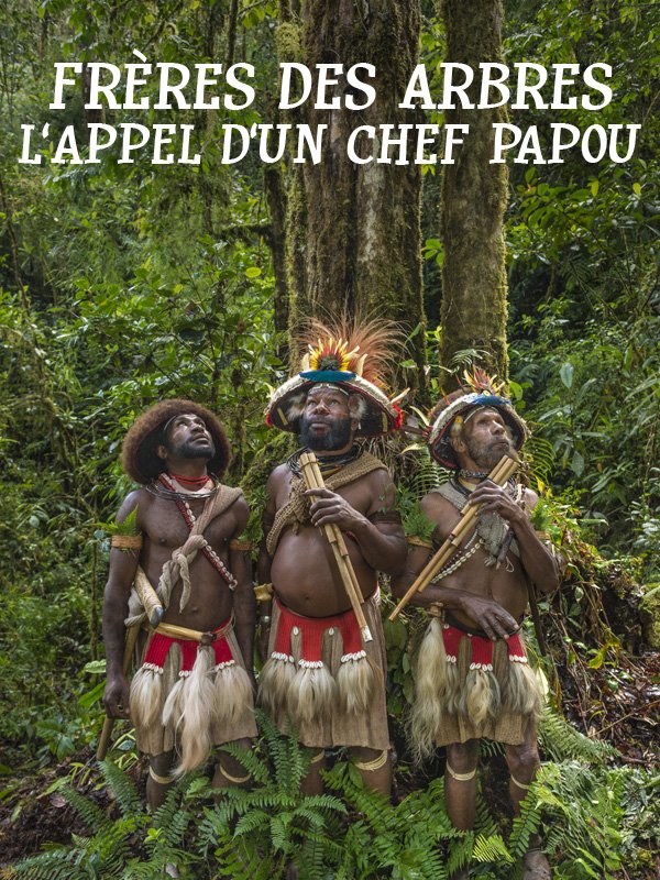 Image de Frères des arbres - L'appel d'un chef Papou