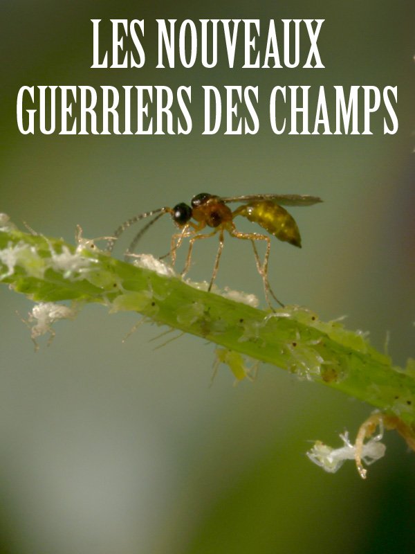 Les nouveaux guerriers des champs | Parisot, Claude-Julie (Réalisateur)