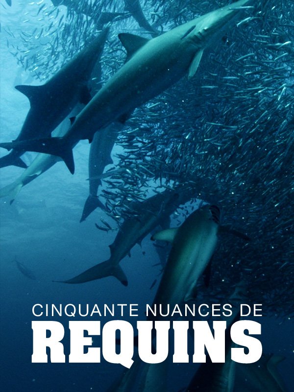 Cinquante nuances de requins | Barbier-Bouvet, Alexis (Réalisateur)