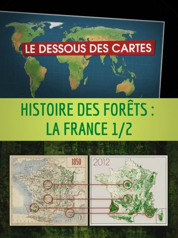 Dessous des Cartes - Histoire des Forêts : La France 1/2 | Victor, Jean-Christophe (Réalisateur)