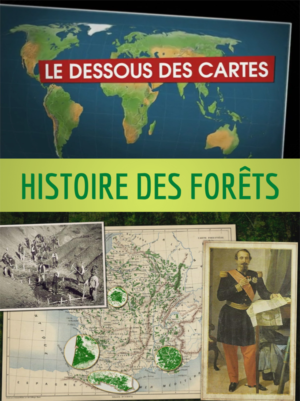 Le Dessous des cartes - Histoire des forêts | 